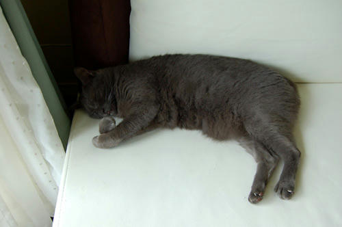 DSC_0098.jpg
