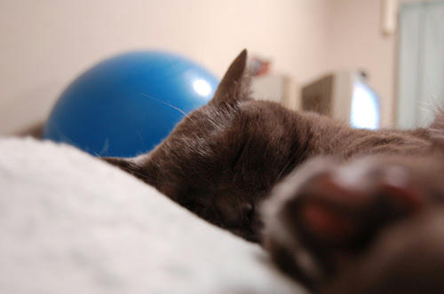 DSC_0144.jpg