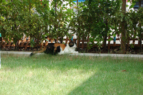 DSC_0362.jpg