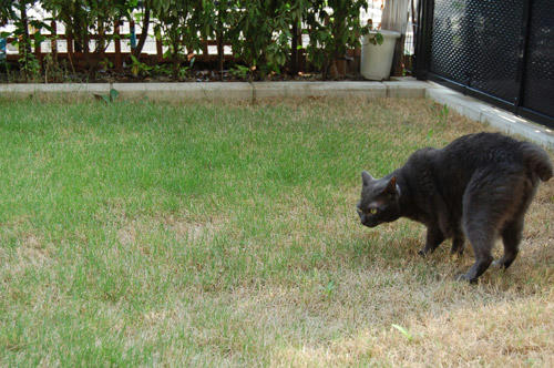 DSC_0359.jpg