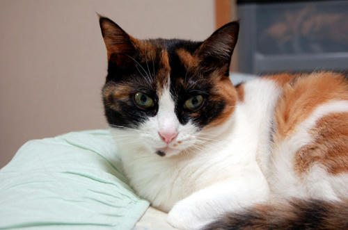 DSC_0744.jpg
