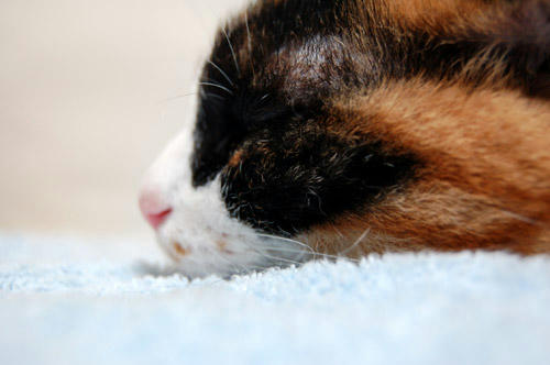 DSC_0755.jpg