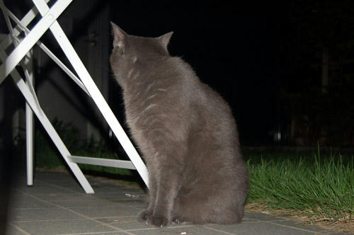 DSC_0776.jpg