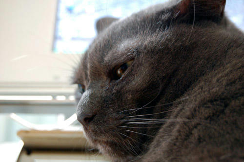 DSC_0792.jpg