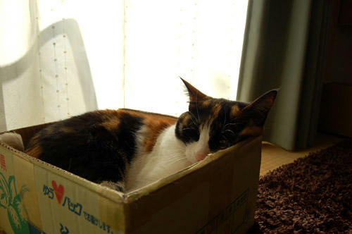DSC_0073.jpg