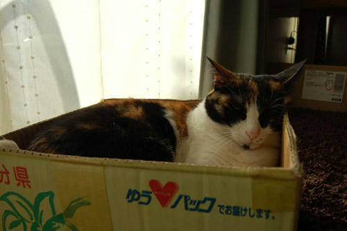 DSC_0075.jpg