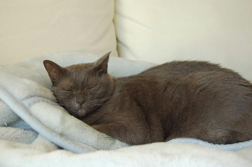 DSC_0070.jpg