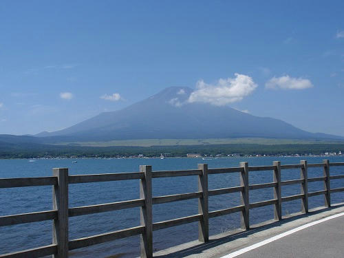 sP8160595.jpg
