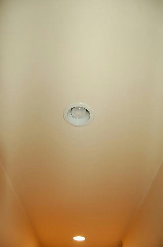 sDSC_0377.jpg