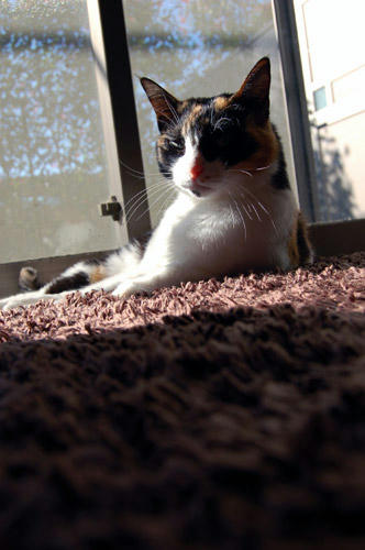 DSC_0414.jpg