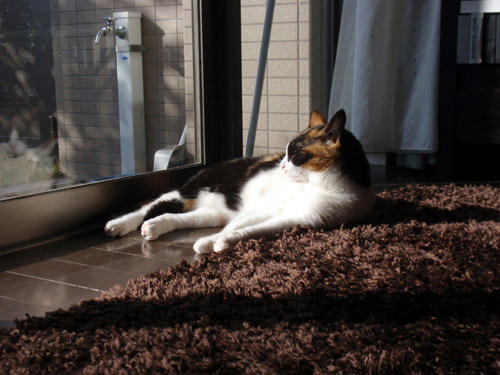 P1030644.jpg