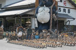 shigara_2.jpg