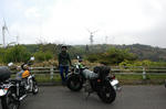 shigara_7.jpg