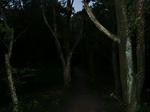 CIMG0181.JPG