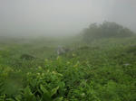 CIMG0243.JPG
