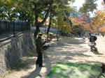 CIMG0486.JPG