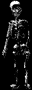 gaikotu3.gif