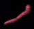 mimizu.gif