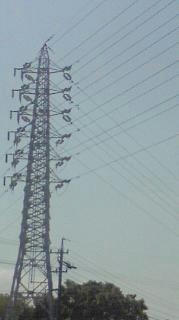 電線