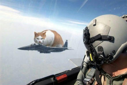 nuko-on-airfighter.jpg