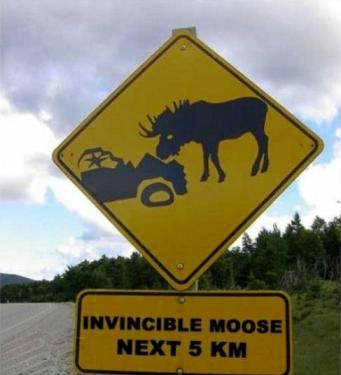 mouretsu-moose.jpg