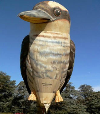real-bird-kikyu.jpg