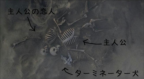 bones.jpg