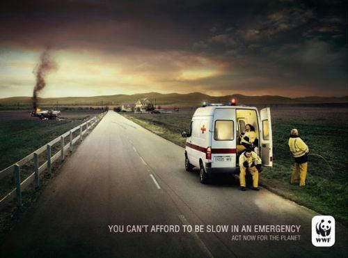 Emergency-WWF-ad.jpg