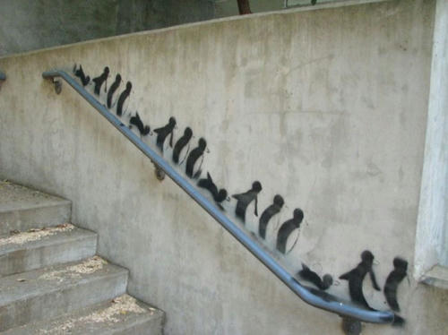 Penguins-march.jpg