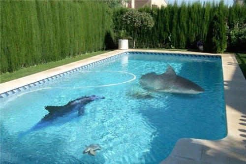 ore-mo-pool-hoshii.jpg