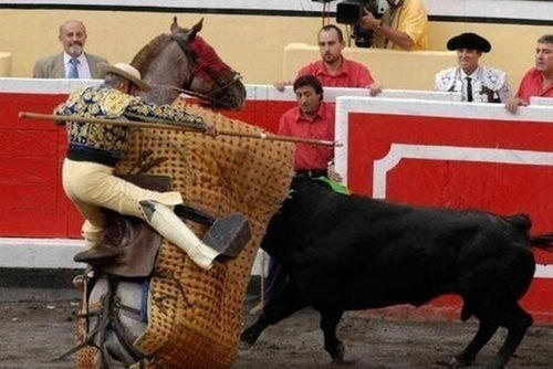 ushi-won-at-arena.jpg