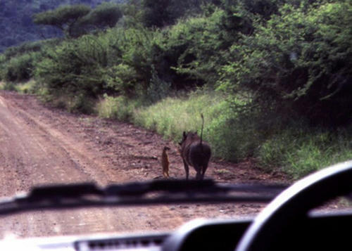 friendship-in-Africa.jpg