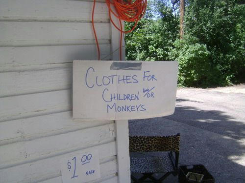 for-monkeys.jpg
