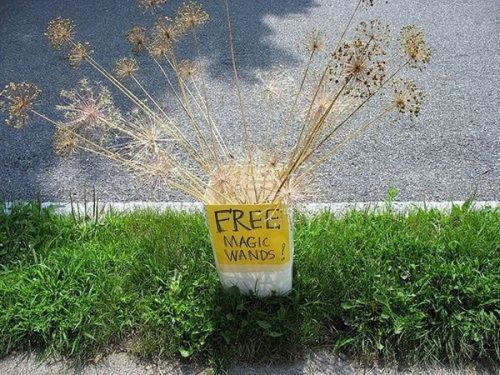 Free-wands.jpg