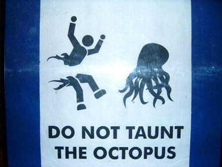 do-not-taunt-the-octopus.jpg