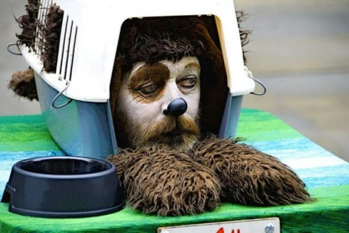 doglike-street-performer.jpg