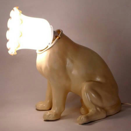 lighthead-dog.jpg