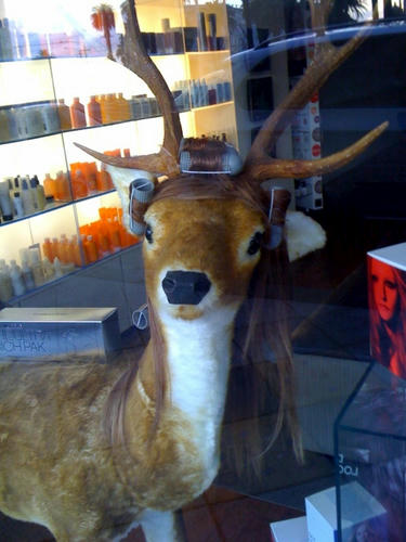 for-deers.jpg