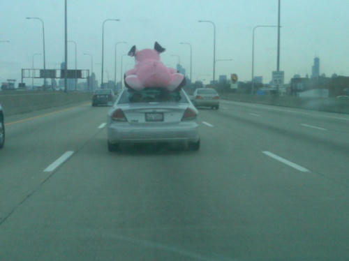attack-of-the-pinky.jpg