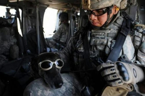 soldier-with-his-buddy.jpg