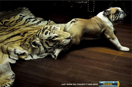 kodak-rechargable-battery-ad.jpg