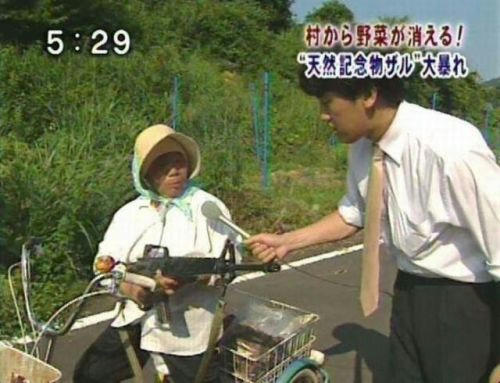 gokai-rokkai-nanakai.jpg