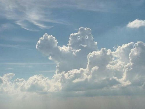 kumo-ga-oissu.jpg