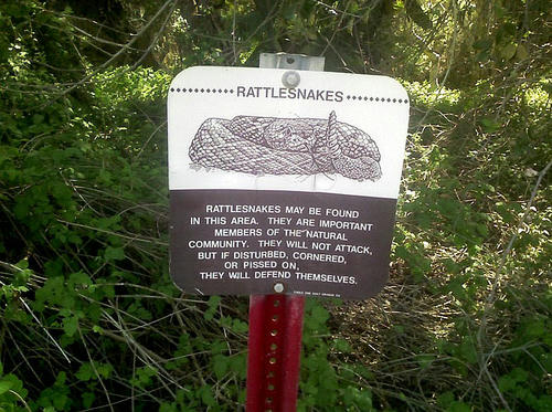 warning-of-rattlesnakes.jpg