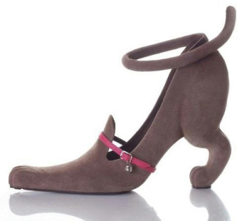 dog-shoe.jpg