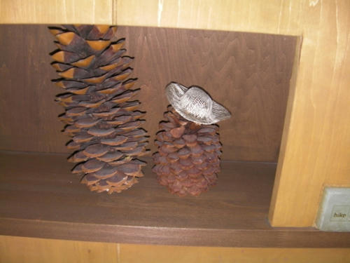 2010summer-project-bokkuri-2.JPG