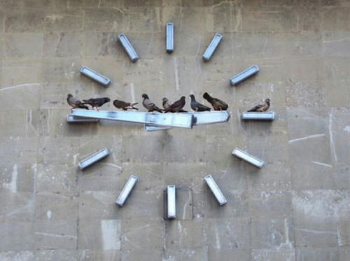 pigeons-are-stopping-a-clock.jpg