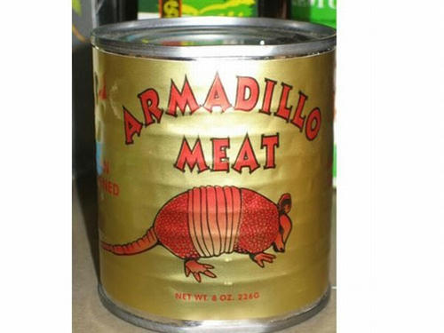 armadillo-can.jpg