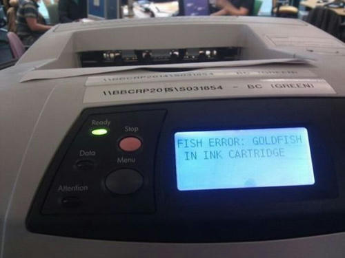fish-error.jpg