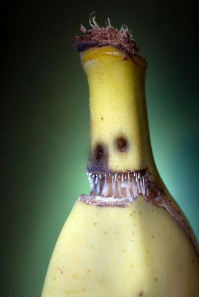 troll-banana.jpg